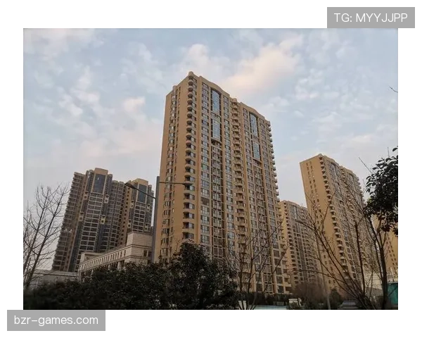 美因茨数据分析显示城市发展新趋势，未来五年住宅需求激增引发关注